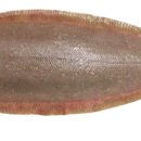 장천안길 이미지