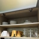 달빛 아리수 이미지