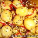 김치를담아내는시인