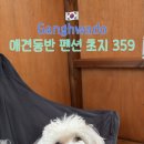 초지359