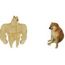 프라임 PT 탄방점 이미지