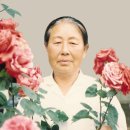 부산영천손한의원 이미지