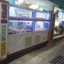 대게새우는참바다 네이버블로그