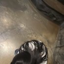 J&J 이미지