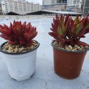 (주)자연농 이미지