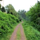 강창학체육공원 강창학파크골프장 이미지