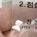 담숨 | 2025.04 / 알차게 보낸 4월의 마지막 순간들