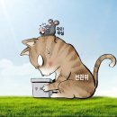 나는 배우다 Daum카페
