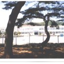 창기초등학교 이미지