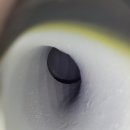 수원-0279 이미지