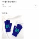 태양과달 이미지