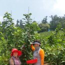 정촌농장 이미지