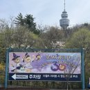 [대구] 이월드 블라썸 피크닉 | 주차정보 | 밤과낮 비교 사진 | 현재벚꽃상황 | 인생네컷 가이드
