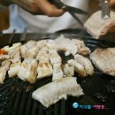 돈돼지돈