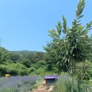 아름다운밀양농장 이미지