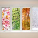 세인치과의원 이미지