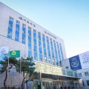 싱글싱글 이미지