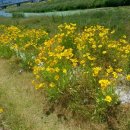 매음목장 이미지