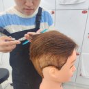 양지헤어 네이버블로그