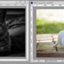 댕댕이뽀샵 이미지