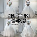 린팜 | [w44] 셀린아뜰리에 본식가봉 후기
