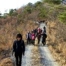 토요산악회(천안/아산) 11월25일 토요주말산행:연기 금성산(430m)산행을 다녀와서~~~(2편) 이미지