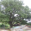 횡간도1 이미지