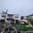 판판포포 이미지