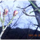 농장이야기 이미지