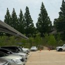 고창 상하농원 파머스빌리지 수영장 이용후기(선베드/수영복 규정/스낵바)