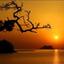 멍멍하니? 이미지