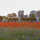 우리가족 정원 만들기 이미지