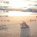 힐링의섬집