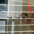 메이그루밍 이미지