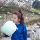 고고샵 이미지