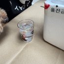 감탄수산 홍게 &amp; gs25 선양 오크 소주 내돈내산 솔직리뷰