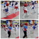 용인파파태권도장 - 3806 | 용인파파태권도장