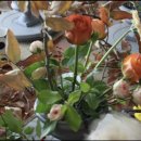 안녕? 가을센터피스 이미지