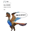 화남(아) 이미지