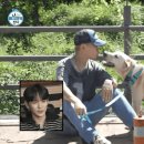 스카이개슬 이미지