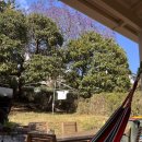 쉐어하우스 | [호주워홀🇦🇺] 외국인 쉐어하우스 후기