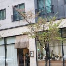 김포 장기동 예쁜 카페 per 내돈내산 (퍼 아니고 피이알)
