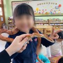 거제초교병설 이미지