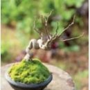 우미현장식당 이미지