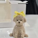 댕가댕가 이미지