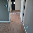 사파동213 이미지