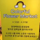 코스 추천_현대백화점 충청점 플라워 마켓 방문 후기 “Colorful Flower Market&#34; (컬러풀 플라워 마켓)