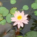 파동공원 이미지