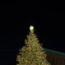 러브스토리 | 에비스역 오뎅바 '도쿄 오뎅 러브스토리 에비스' 비추 후기