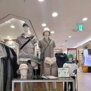 스노우피크갤러리아 | 대전 서구 스노우피크 갤러리아 타임월드점, 주차, 가는법, 후기